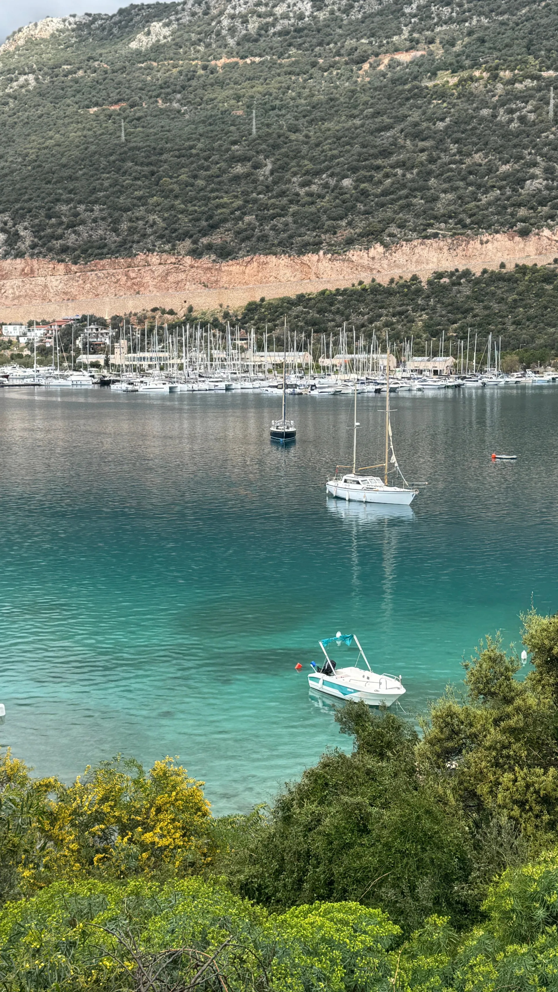 Kaş